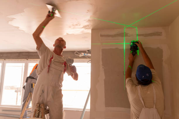 Best Mold Prevention Services  in Hamton, IL