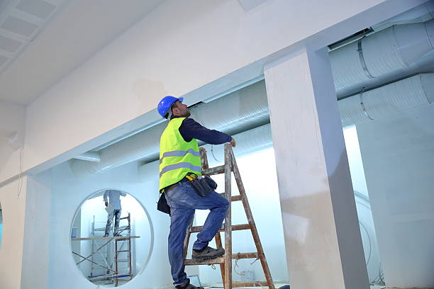 Best Residential Mold Inspection & Testing  in Hamton, IL